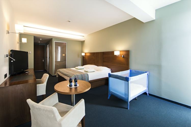 Bohinj ECO Hotel Executive Room
