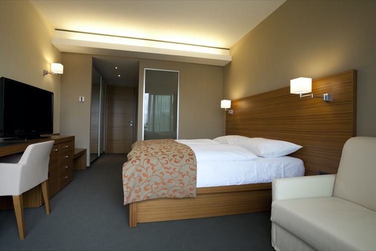 Bohinj ECO Hotel Superior room