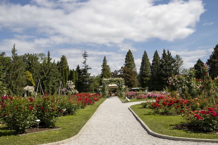 Arboretum Voljči Potok